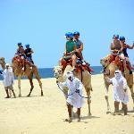 Darling Donuts and Ice Cream